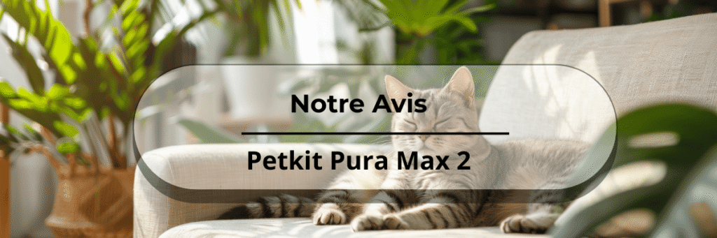Notre avis Petkit pura max 2