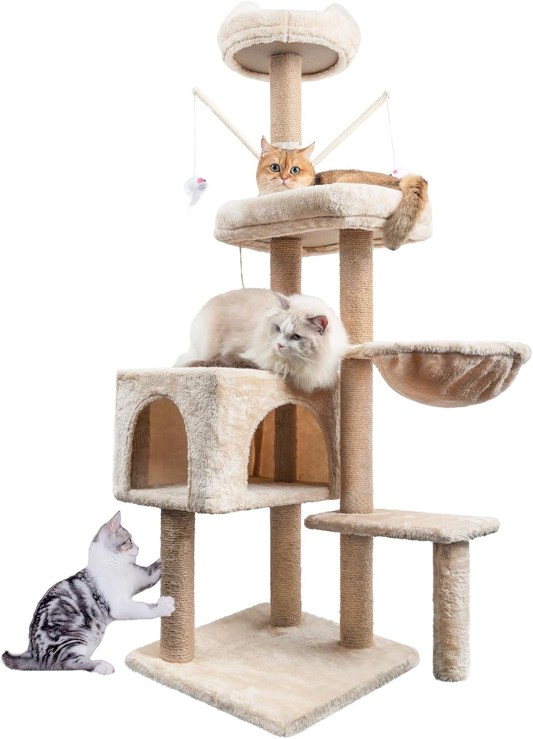 Accessoires utiles pour chat