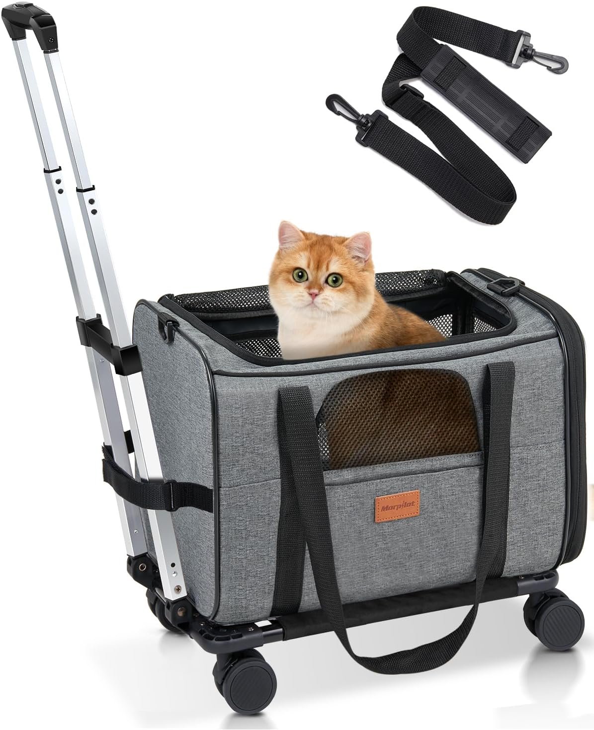 Sac de transport à roulettes pour chat